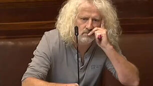 Mick Wallace: Garda Commissioner 'doing so much damage' to Gardaí
