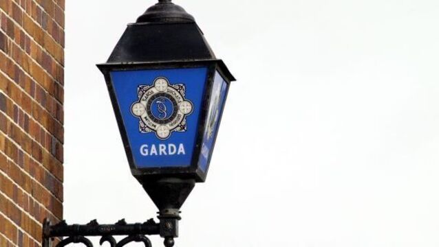 Firearms discovered in Wicklow wasteland