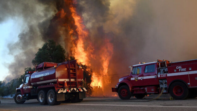 bluecut fire