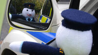 Gardaí ask children to name their newest recruit