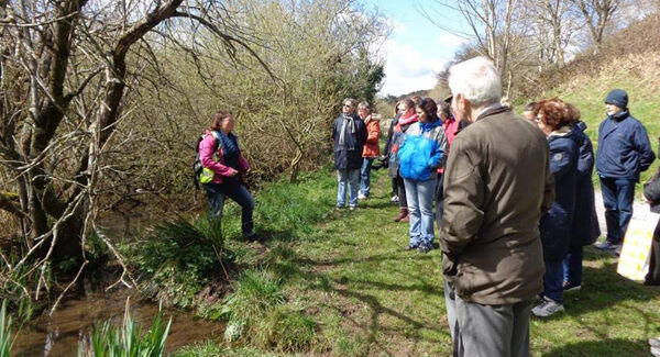 Cork Nature Network’s Jo Goodyear leads a group learning about the local environment. Cork Nature Network’s Jo Goodyear leads a group learning about the local environment.