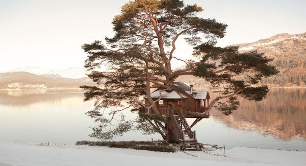 Pic: Facebook,The Lodge Pic: Facebook,The Lodge