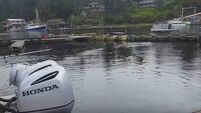 Humpback whale puts on a spectacle for visitors to Alaska marina
