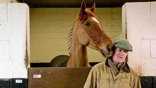 Willie Mullins aims four at big Fairyhouse prize