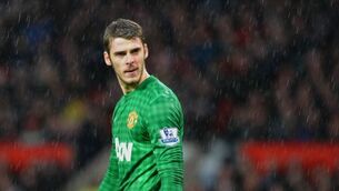 Spain coach Vicente del Bosque offers full support to David de Gea