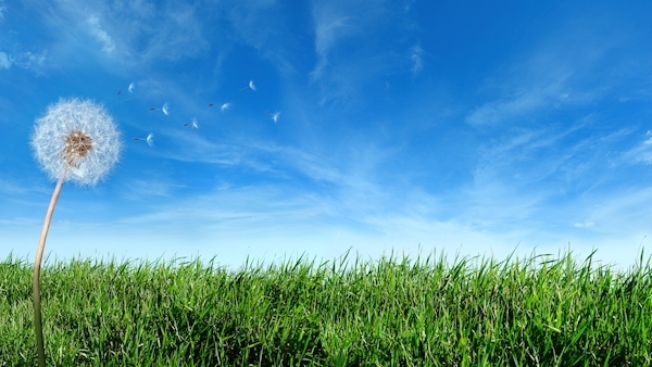 Government inaction on clean air strategy