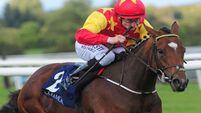 Jet Setting takes flight in concorde cruise at Tipperary