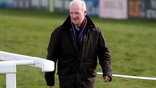 Willie Mullins hoping Limini can rise to the challenge in Trull test