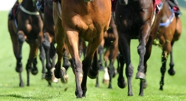 Fancy a flutter? Our tipster gives his selections for day four in Galway