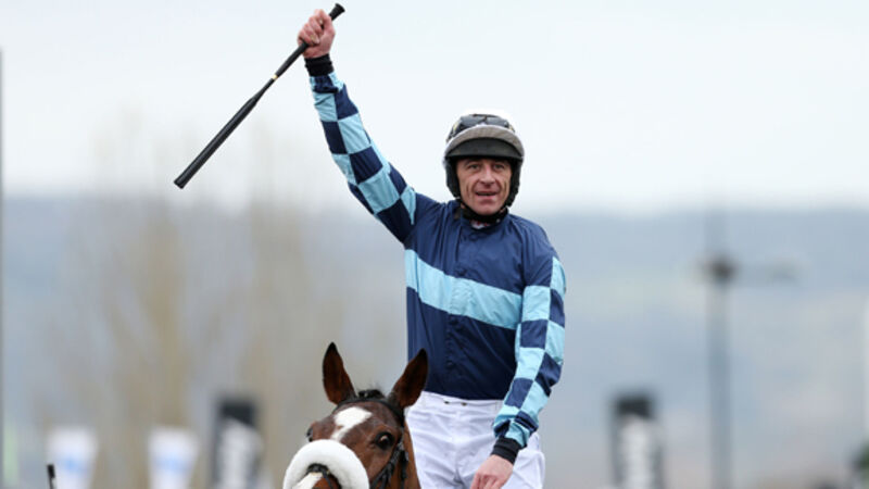 Diamond King rules in Coral Cup at Cheltenham Diamond King rules in Coral Cup at Cheltenham