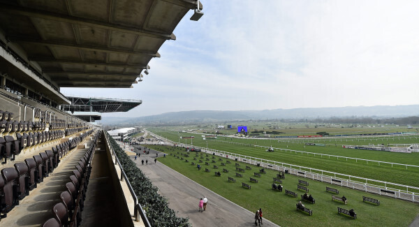 Cheltenham day two: Our tipster gives his selections
