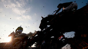 2016 Cheltenham Festival - St Patrick's Thursday - Cheltenham Racecourse