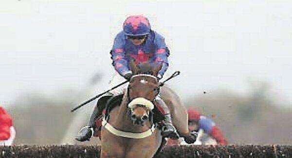 Cue Card won the King George VI Chase at Kempton. Cue Card won the King George VI Chase at Kempton.