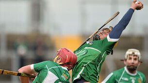 Limerick overcome Offaly to set up promotion clash with Clare later this month