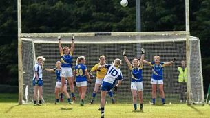 Last-minute point rescues replay for Waterford's Ladies in Division 3 final