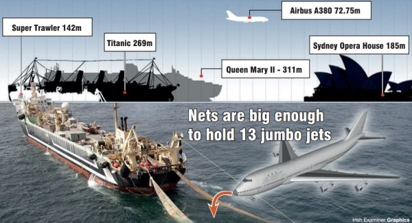 MEP calls for independent observers on super trawlers