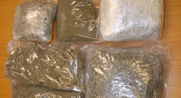 Two arrested after cannabis worth €110k seized in Cork