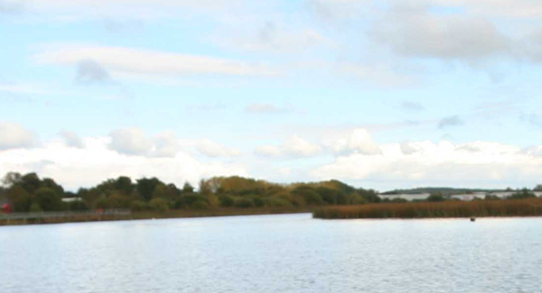 Gardaí treating deaths of couple in River Shannon as accidental