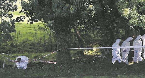 A forensics search in Tyrone in September 2016
