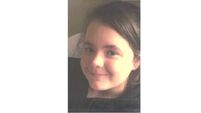 Gardaí searching for teenager missing from Meath