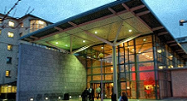 Investigations continue as woman dies after dog attack in Galway