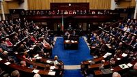 Dáil to debate Mental Health laws