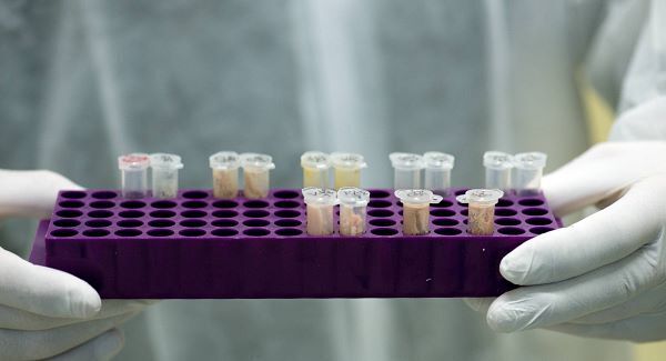 'Really encouraging' results as DNA database identifies hundreds of suspects