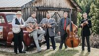 Bluegrass with a green tinge coming to Ballydehob