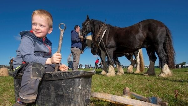 Young Cillian Molloy, Wicklow, ready with the spanner as Martin Austin looks after horses Womble and Tom during their U40 horse class on the opening day of this year’s National Ploughing Championships in Fenagh. Picture: Dan Linehan.