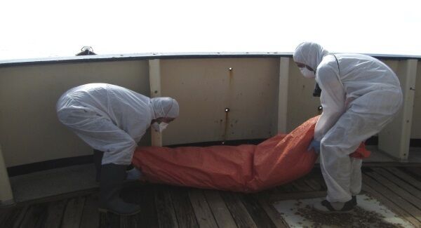 The body of a migrant is carried inside the Golfo Azzurro, the Spanish NGO Proactiva Open Arms rescue ship by aid workers, in the Mediterranean Sea off the Libyan coast, during a search and rescue operation by Spanish NGO Proactiva Open Arms. Pic: Proactiva Open Arms via AP