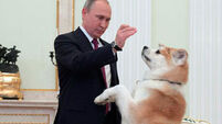 Putin shows off his dog to Japanese journalists