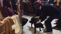 Listen: Emotional reunion for family reunited with deceased daughter's dog after cliff rescue