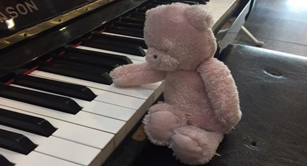 Happy ending for Cork Airport teddy bear who missed his flight home