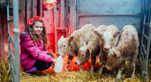 Mia McMahon, affectionately known as the ‘farm manager’ on Tom Clair’s farm in Maghera, Lahinch, Co Clare, with the the Charolais quads, Mia, Rosie, Fluffy, and Jenny. Picture: Brian Arthur