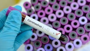 Ireland Women's Cricket team's Thailand tour called off over coronavirus risk