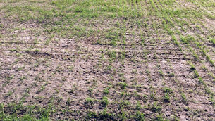 Rostov v Manchester United - UEFA Europa League - Last 16 - First Leg - Manchester United Arrival - Olimp-2 Stadium