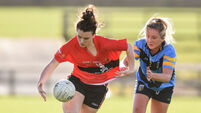 Cork stars lead UCC to O’Connor Cup final