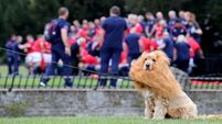PICS: British and Irish Lions gather for the first time on 'Messy Monday' PICS: British and Irish Lions gather for the first time on 'Messy Monday'