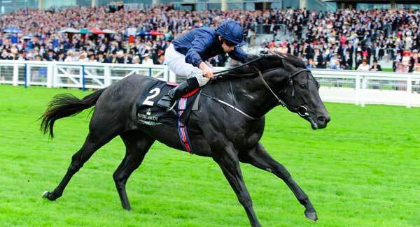 Aidan O'Brien targets Dundalk comeback for Caravaggio