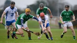 Limerick revival sees Waterford downed by 7