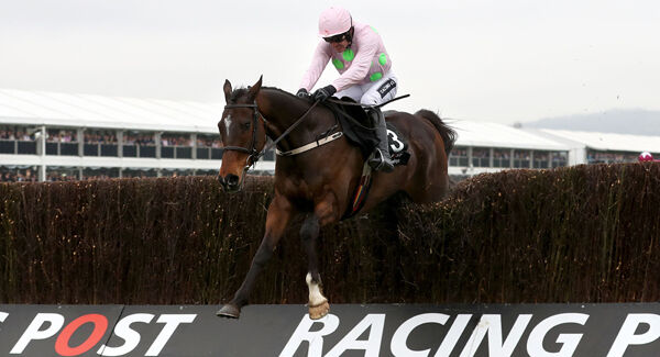 Douvan wins the Arkle Trophy last year