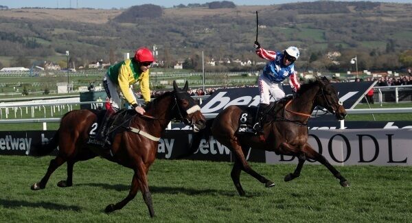 Special Tiara ridden by Noel Fehily (right) celebrates beating Fox Norton ridden by Aidan Coleman to win the Betway Queen Mother Champion Chase at Cheltenham. PRESS ASSOCIATION Photo.