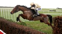 Willie Mullins sets challenge for Shaneshill at French Champion Hurdle