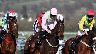 WATCH: Ruby Walsh on Yorkhill - I think he'll win the JLT