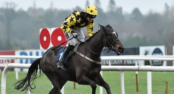 Bacardys. Pic: Sportsfile Bacardys. Pic: Sportsfile