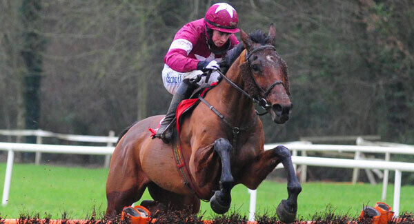 Alpha Des Obeaux Alpha Des Obeaux