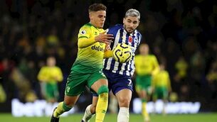 Brighton stretch winning home run with victory over struggling Norwich