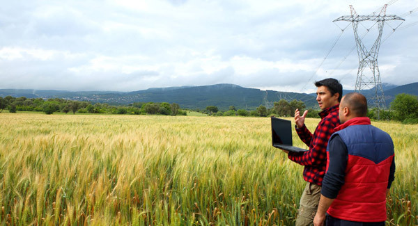 Q&A: Only actively engaged qualify for farm scheme