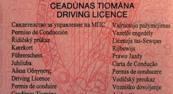 Garda who “never” sat a driving test loses appeal against conviction for using fake license