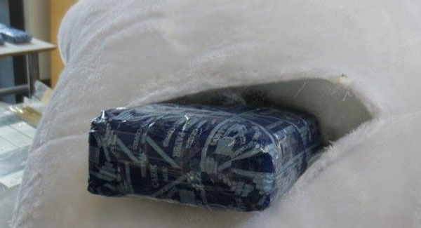 A view of the drugs inserted into the back of the bear. A view of the drugs inserted into the back of the bear.